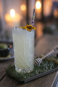 elixir 4