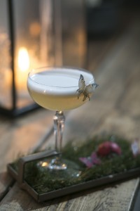 elixir 5