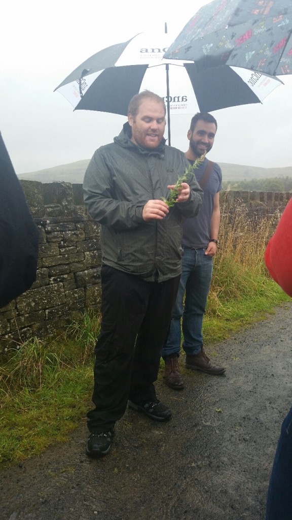 forage 7