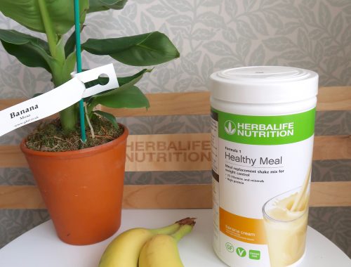 herbalife banana cream healthy meal with a banana plant and a bunch of bananas